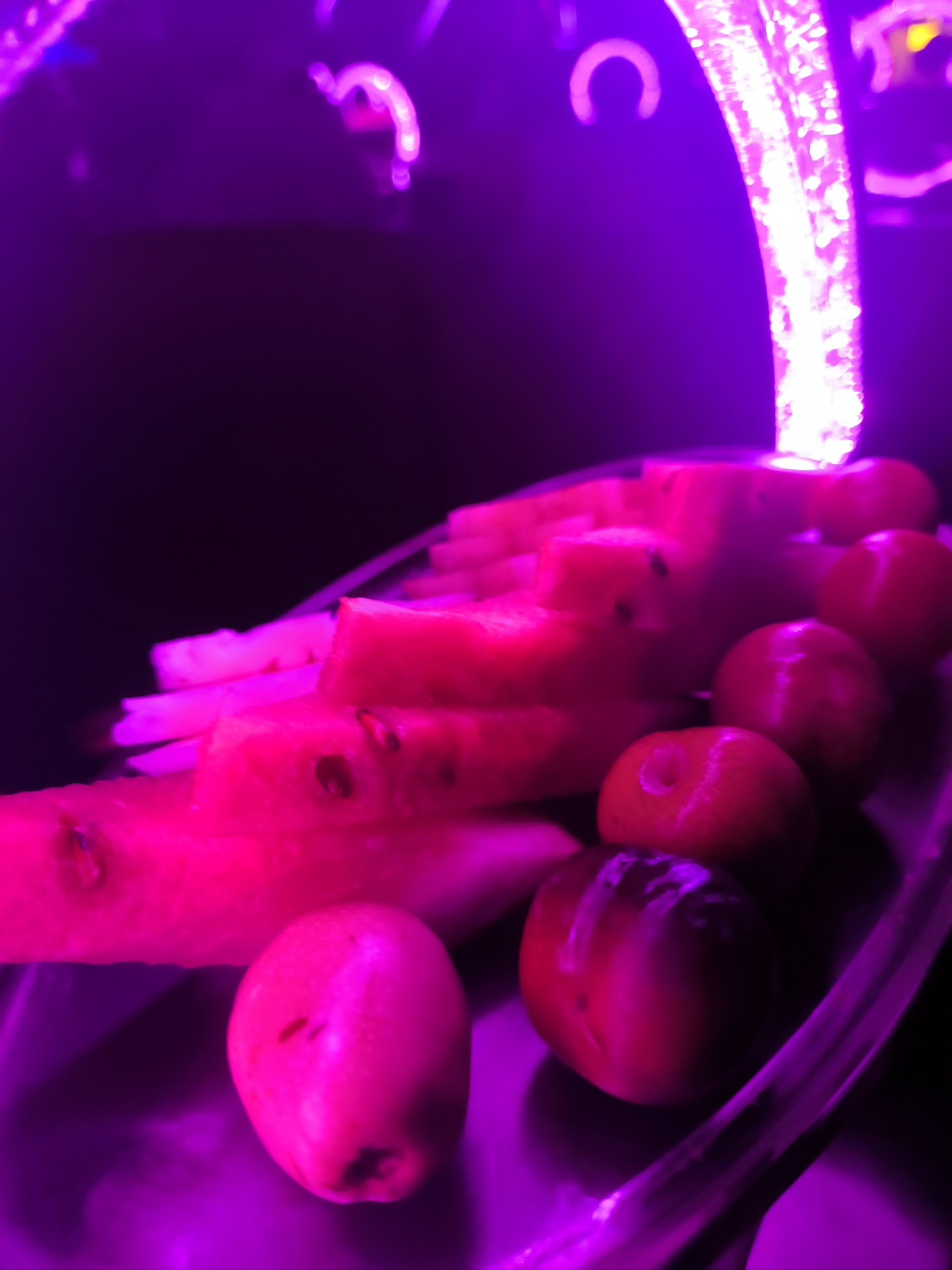 榆林商务KTV推荐-靖边县ktv预定